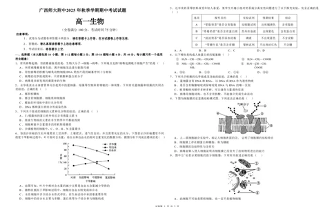 桂林师大附中2025年秋季期中高一生物试卷_2025年11月高一试卷_251128广西桂林师大附中2025年秋季期中高一考试（全）