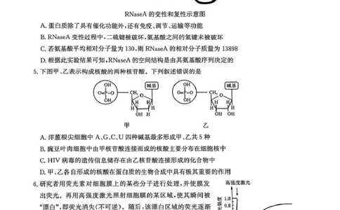 江南十校2025-2026学年高一上学期12月联考生物B_2025年12月高一试卷_251228安徽省江南十校2025-2026学年高一上学期12月联考（全）