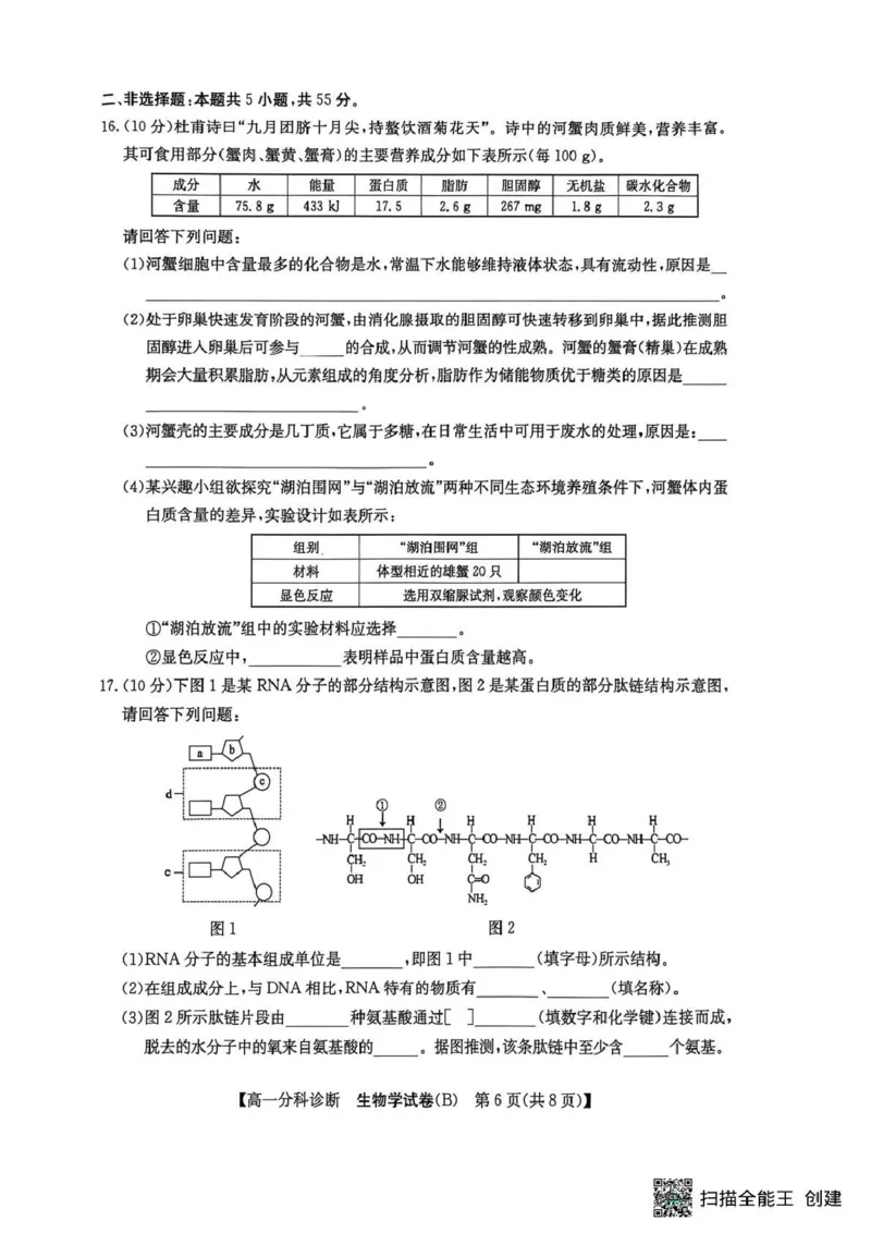 江南十校2025-2026学年高一上学期12月联考生物B_2025年12月高一试卷_251228安徽省江南十校2025-2026学年高一上学期12月联考（全）