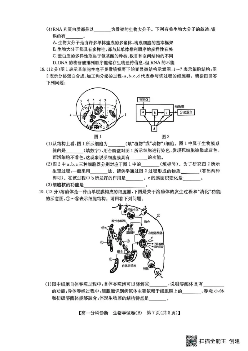 江南十校2025-2026学年高一上学期12月联考生物B_2025年12月高一试卷_251228安徽省江南十校2025-2026学年高一上学期12月联考（全）