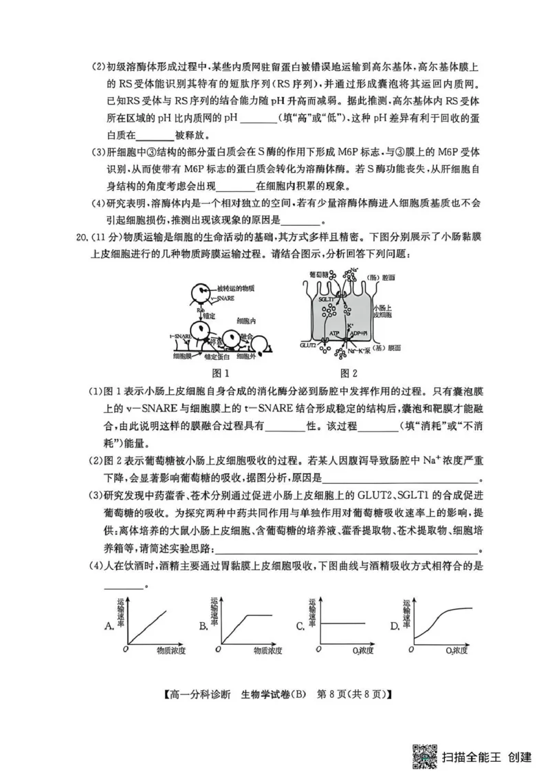 江南十校2025-2026学年高一上学期12月联考生物B_2025年12月高一试卷_251228安徽省江南十校2025-2026学年高一上学期12月联考（全）