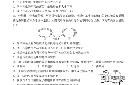 江苏省扬州市八校2024-2025学年高一上学期开学考试生物试题_2024年12月试卷_1230江苏省扬州市八校2024-2025学年高一上学期12月学情检测