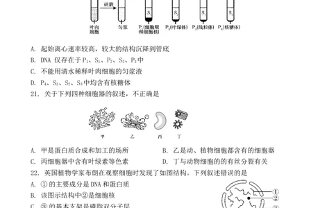 江苏省扬州市八校2024-2025学年高一上学期开学考试生物试题_2024年12月试卷_1230江苏省扬州市八校2024-2025学年高一上学期12月学情检测
