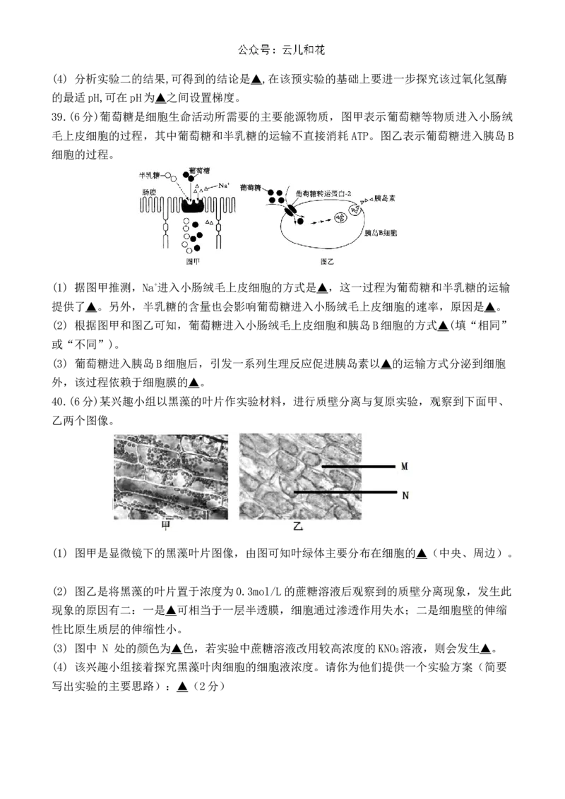 江苏省扬州市八校2024-2025学年高一上学期开学考试生物试题_2024年12月试卷_1230江苏省扬州市八校2024-2025学年高一上学期12月学情检测