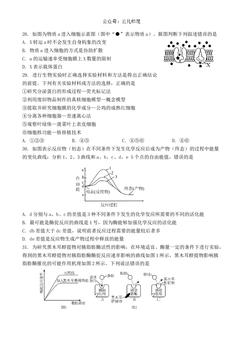 江苏省扬州市八校2024-2025学年高一上学期开学考试生物试题_2024年12月试卷_1230江苏省扬州市八校2024-2025学年高一上学期12月学情检测