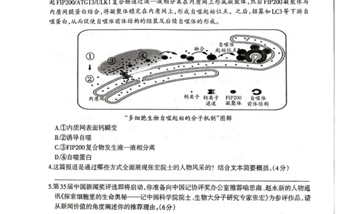 柳州市2024-12月高一联考语文试卷_2024年12月试卷_1211广西柳州市2024-2025学年12月高一联考_广西示范性高中2024年秋季期中高一语文试卷