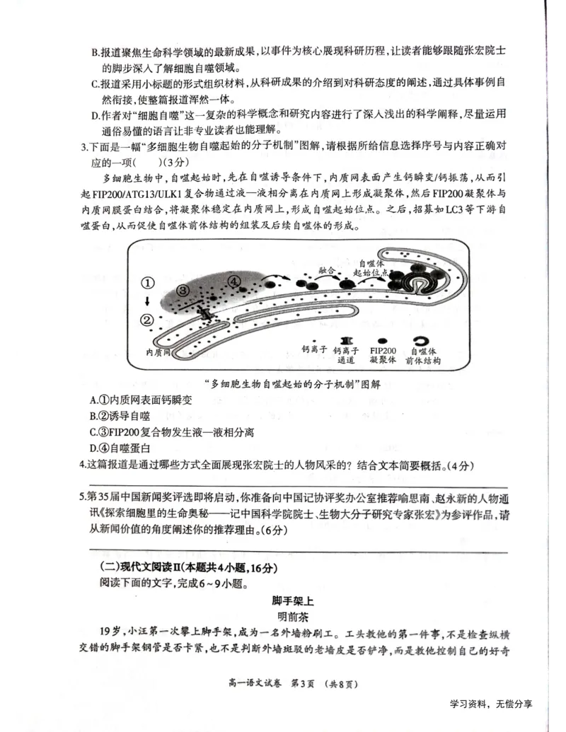 柳州市2024-12月高一联考语文试卷_2024年12月试卷_1211广西柳州市2024-2025学年12月高一联考_广西示范性高中2024年秋季期中高一语文试卷