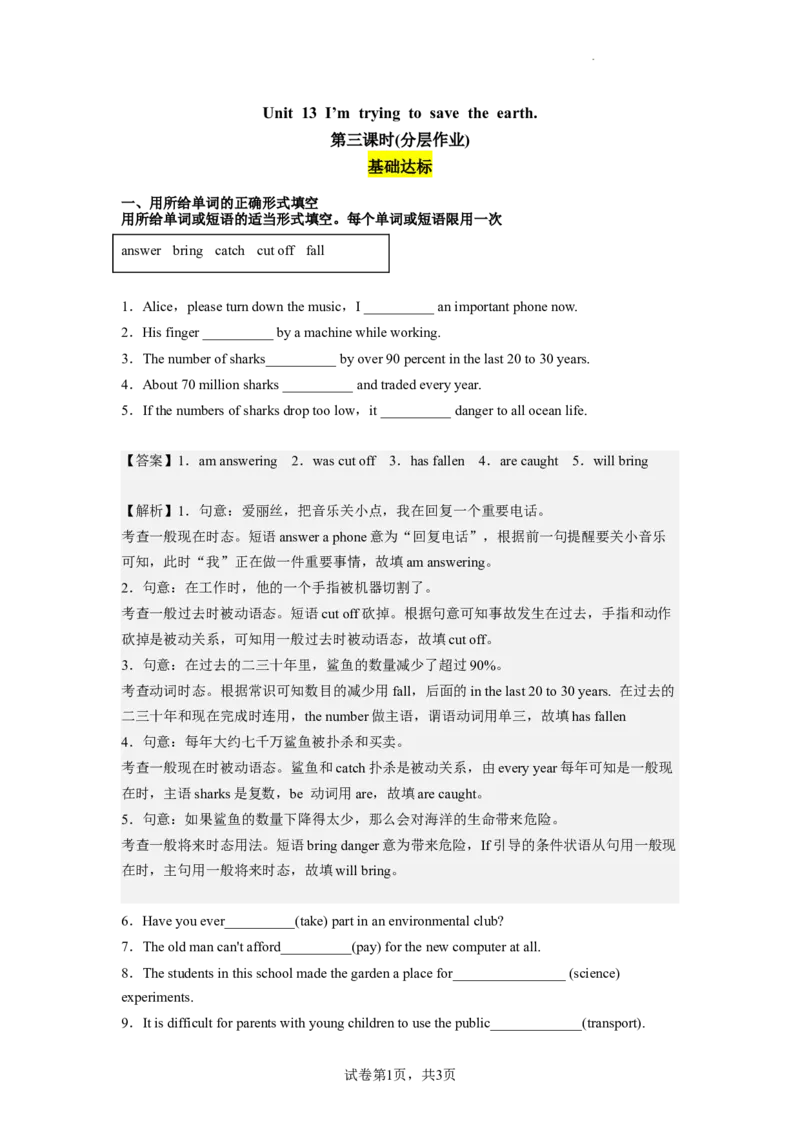 Unit13第3课时(SectionAGrammarFocus-4c)（分层作业）解析版一_最新人教版英语九年级全册_旧版可参考_01.英语9全一册-新课标PPT课件+教案+学案+作业第1套_分层作业