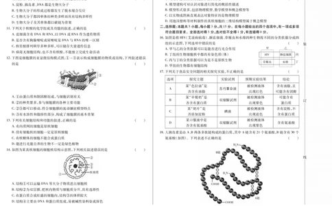 新时代高中教育联合体2025年11月高一学年期中联考巩固卷（一）生物_2025年11月高一试卷_251114黑龙江省新时代高中教育联合体2025年11月高一学年期中联考巩固卷（一）（全）