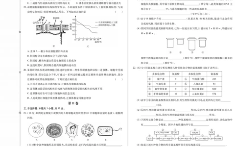 新时代高中教育联合体2025年11月高一学年期中联考巩固卷（一）生物_2025年11月高一试卷_251114黑龙江省新时代高中教育联合体2025年11月高一学年期中联考巩固卷（一）（全）