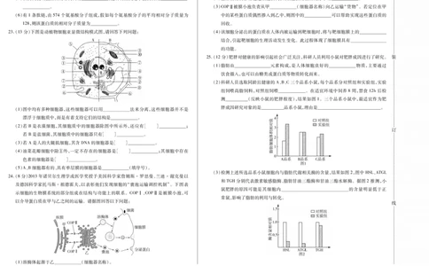 新时代高中教育联合体2025年11月高一学年期中联考巩固卷（一）生物_2025年11月高一试卷_251114黑龙江省新时代高中教育联合体2025年11月高一学年期中联考巩固卷（一）（全）