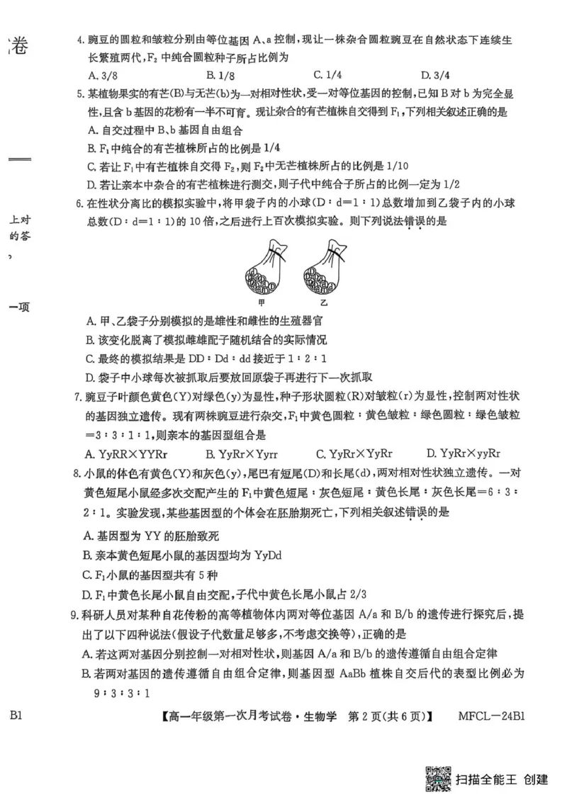 河北省沧州市三县联考2024-2025学年高一下学期3月第一次月考生物试题_2025年03月试卷_0318河北省沧州市四县联考2024-2025学年高一下学期3月月考