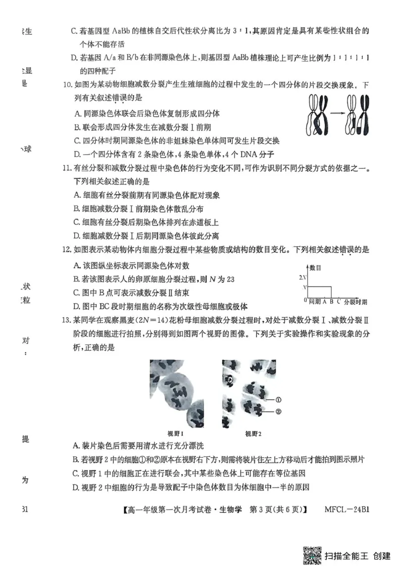 河北省沧州市三县联考2024-2025学年高一下学期3月第一次月考生物试题_2025年03月试卷_0318河北省沧州市四县联考2024-2025学年高一下学期3月月考
