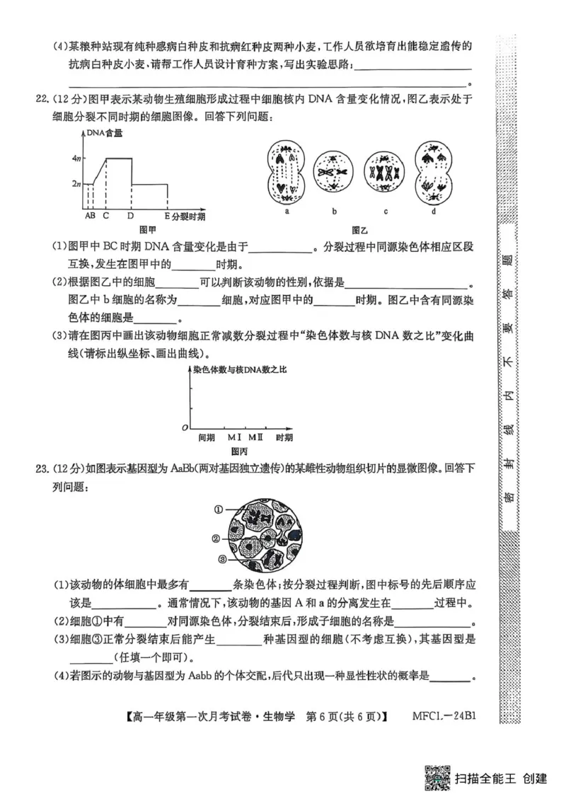 河北省沧州市三县联考2024-2025学年高一下学期3月第一次月考生物试题_2025年03月试卷_0318河北省沧州市四县联考2024-2025学年高一下学期3月月考