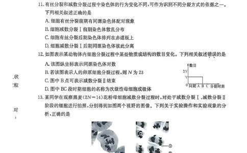 河北省沧州市三县联考2024-2025学年高一下学期3月第一次月考生物试题_2025年03月试卷_0318河北省沧州市四县联考2024-2025学年高一下学期3月月考