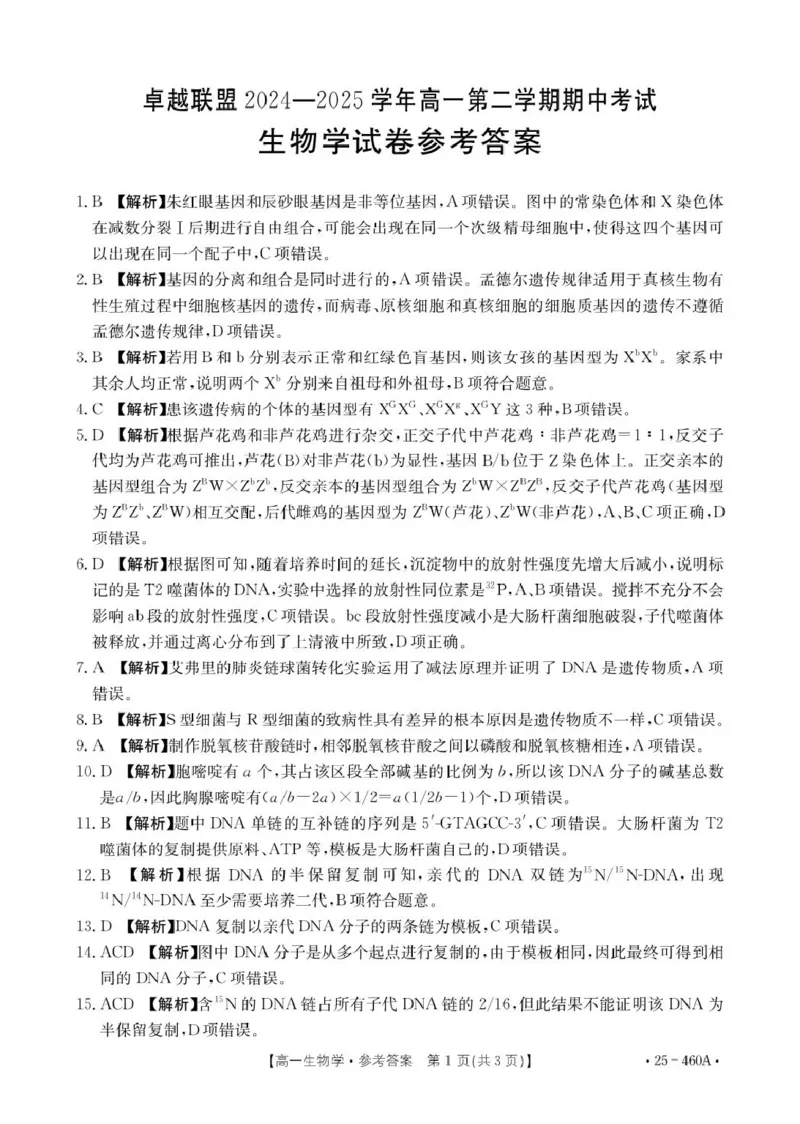 河北省邢台市卓越联盟2024-2025学年高一下学期4月期中生物答案_2025年05月试卷_0524河北省邢台市卓越联盟2024-2025学年高一下学期期中考试