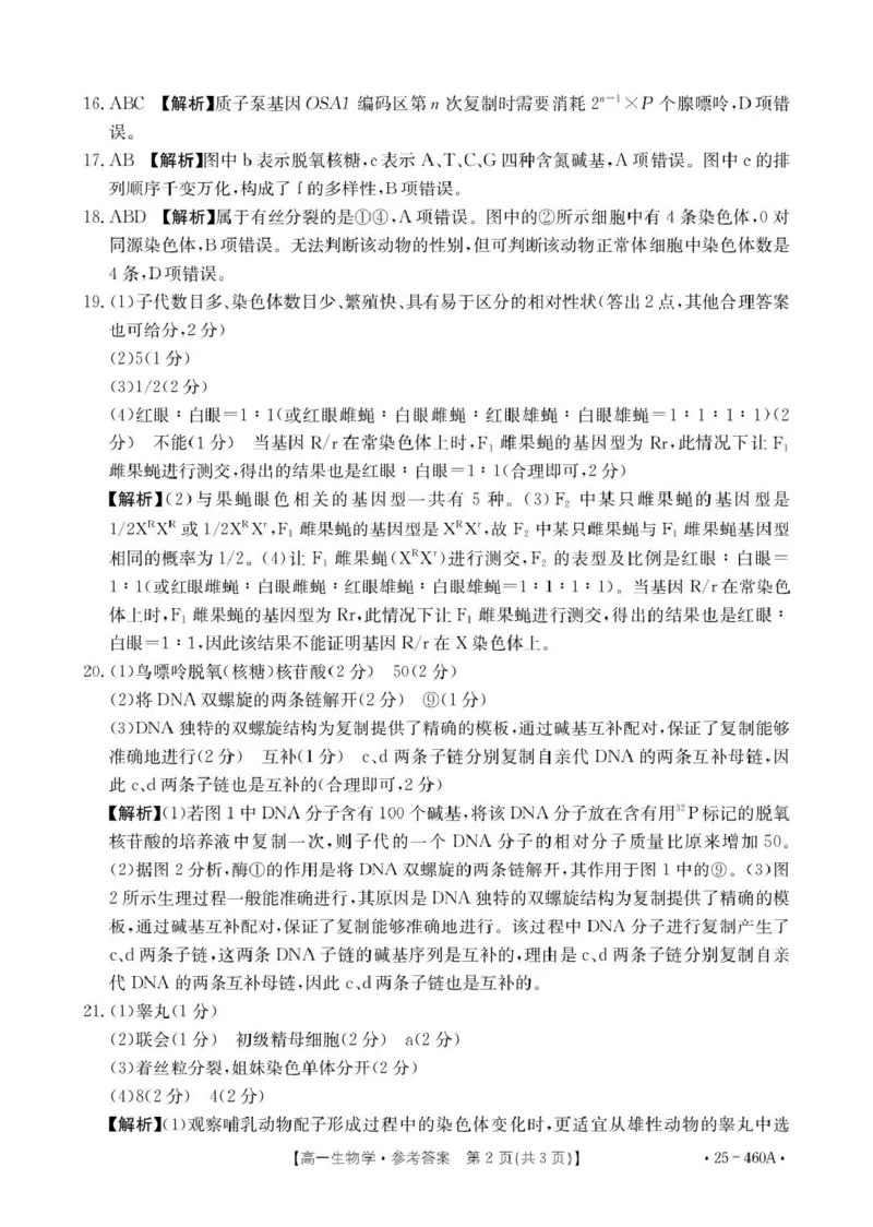 河北省邢台市卓越联盟2024-2025学年高一下学期4月期中生物答案_2025年05月试卷_0524河北省邢台市卓越联盟2024-2025学年高一下学期期中考试