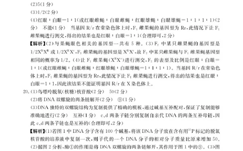 河北省邢台市卓越联盟2024-2025学年高一下学期4月期中生物答案_2025年05月试卷_0524河北省邢台市卓越联盟2024-2025学年高一下学期期中考试