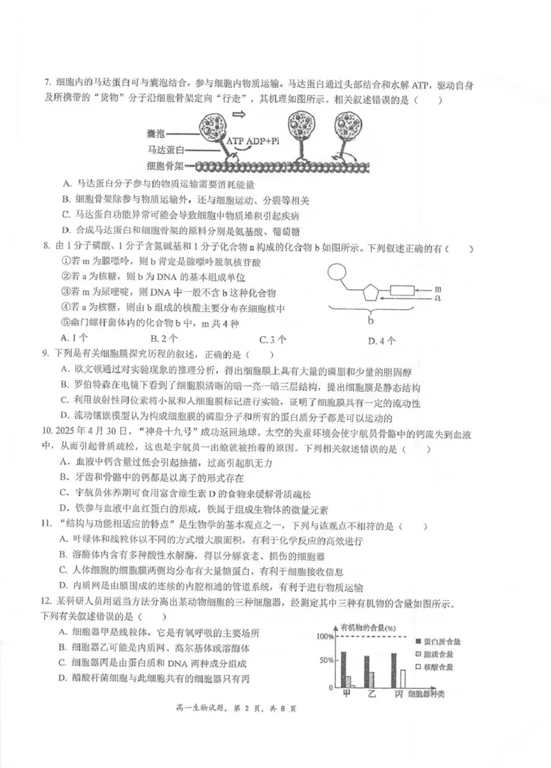 江苏省泰州中学2025-2026学年高一上学期11月期中考试生物PDF版含答案_2025年12月高一试卷_251214江苏省泰州中学2025-2026学年高一上学期11月期中考试（全）