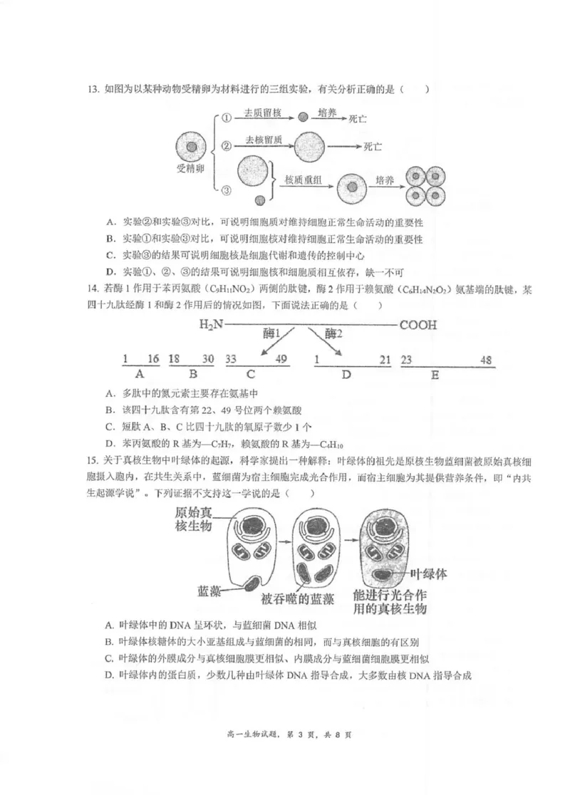 江苏省泰州中学2025-2026学年高一上学期11月期中考试生物PDF版含答案_2025年12月高一试卷_251214江苏省泰州中学2025-2026学年高一上学期11月期中考试（全）
