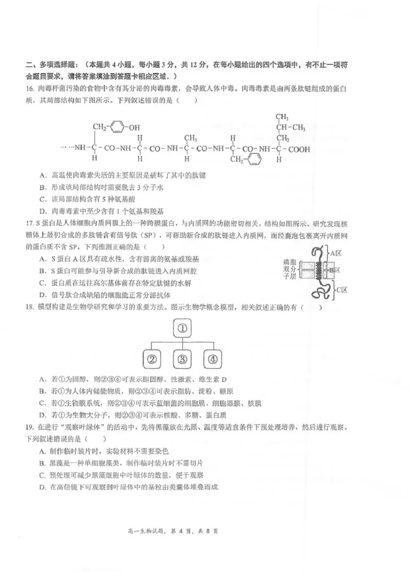 江苏省泰州中学2025-2026学年高一上学期11月期中考试生物PDF版含答案_2025年12月高一试卷_251214江苏省泰州中学2025-2026学年高一上学期11月期中考试（全）