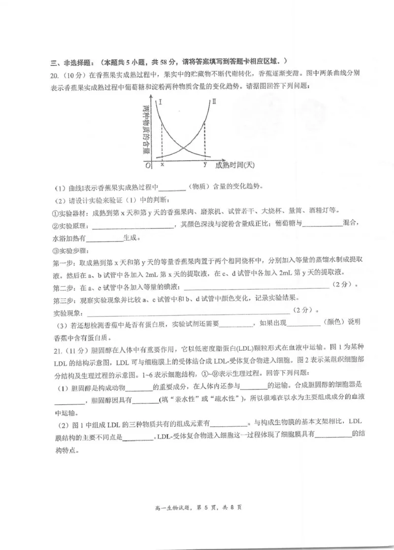江苏省泰州中学2025-2026学年高一上学期11月期中考试生物PDF版含答案_2025年12月高一试卷_251214江苏省泰州中学2025-2026学年高一上学期11月期中考试（全）