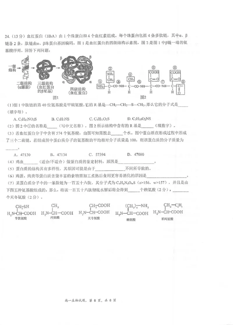 江苏省泰州中学2025-2026学年高一上学期11月期中考试生物PDF版含答案_2025年12月高一试卷_251214江苏省泰州中学2025-2026学年高一上学期11月期中考试（全）