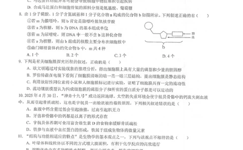江苏省泰州中学2025-2026学年高一上学期11月期中考试生物PDF版含答案_2025年12月高一试卷_251214江苏省泰州中学2025-2026学年高一上学期11月期中考试（全）