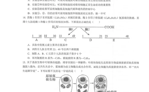 江苏省泰州中学2025-2026学年高一上学期11月期中考试生物PDF版含答案_2025年12月高一试卷_251214江苏省泰州中学2025-2026学年高一上学期11月期中考试（全）