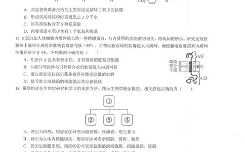 江苏省泰州中学2025-2026学年高一上学期11月期中考试生物PDF版含答案_2025年12月高一试卷_251214江苏省泰州中学2025-2026学年高一上学期11月期中考试（全）