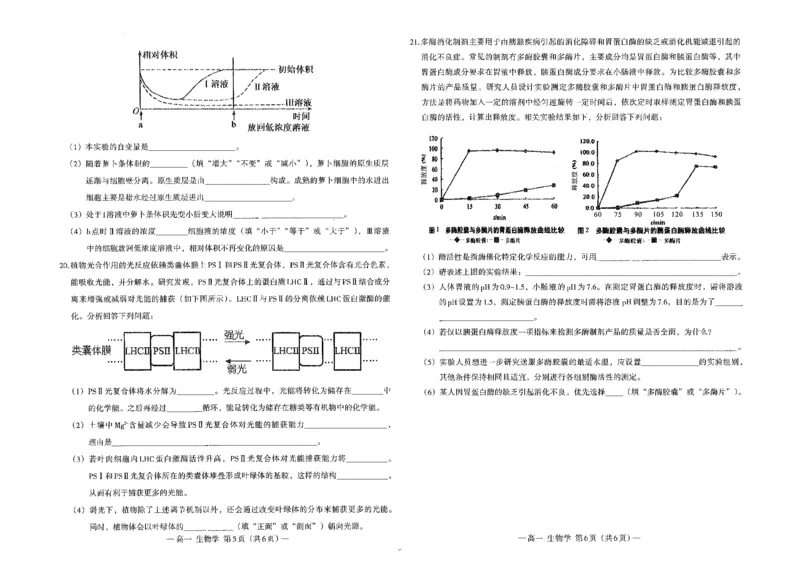 江西省南昌市2024-2025学年高一上学期1月期末生物试题_2025年03月试卷_0310江西省南昌市2024-2025学年高一上学期1月期末考试