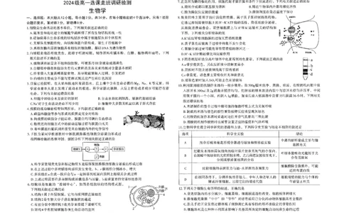 江西省南昌市2024-2025学年高一上学期1月期末生物试题_2025年03月试卷_0310江西省南昌市2024-2025学年高一上学期1月期末考试