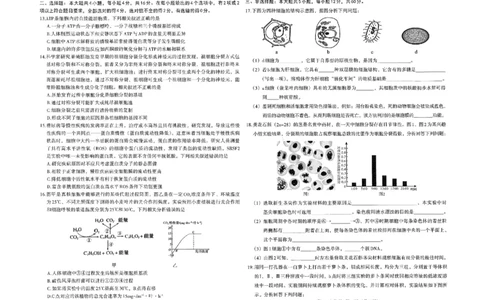 江西省南昌市2024-2025学年高一上学期1月期末生物试题_2025年03月试卷_0310江西省南昌市2024-2025学年高一上学期1月期末考试