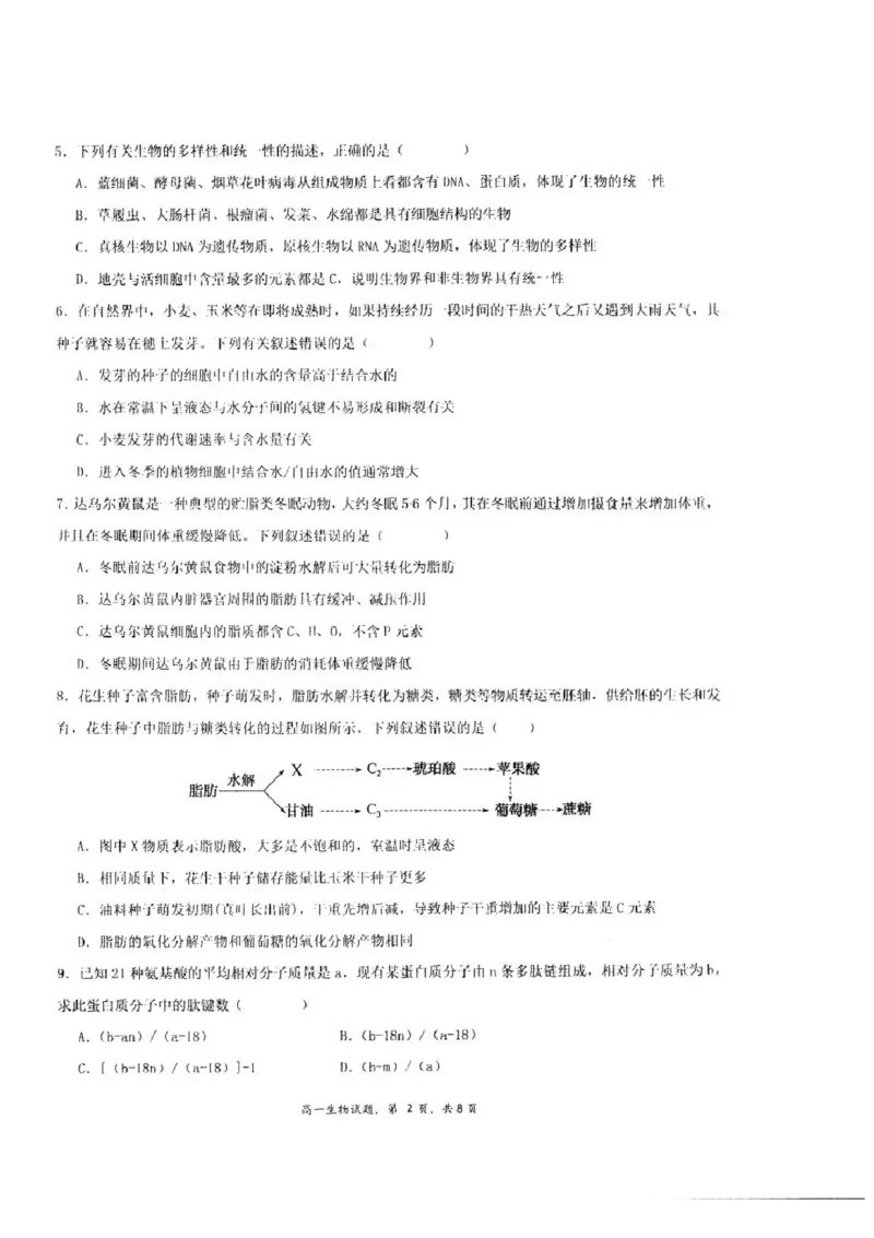 江苏省泰州中学2025-2026学年高一上学期10月月考生物试题含答案_2025年11月高一试卷_251104江苏省泰州中学2025-2026学年高一上学期第一次质量检测