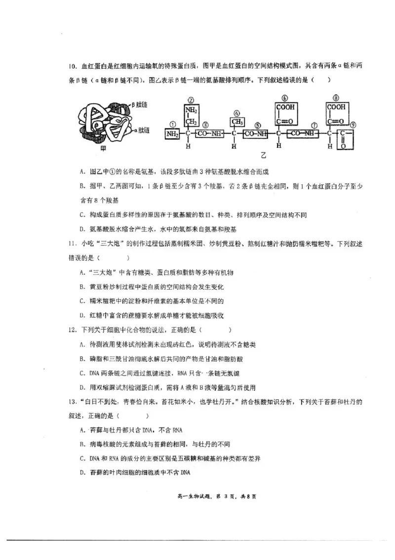江苏省泰州中学2025-2026学年高一上学期10月月考生物试题含答案_2025年11月高一试卷_251104江苏省泰州中学2025-2026学年高一上学期第一次质量检测