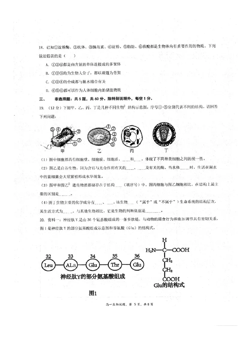 江苏省泰州中学2025-2026学年高一上学期10月月考生物试题含答案_2025年11月高一试卷_251104江苏省泰州中学2025-2026学年高一上学期第一次质量检测