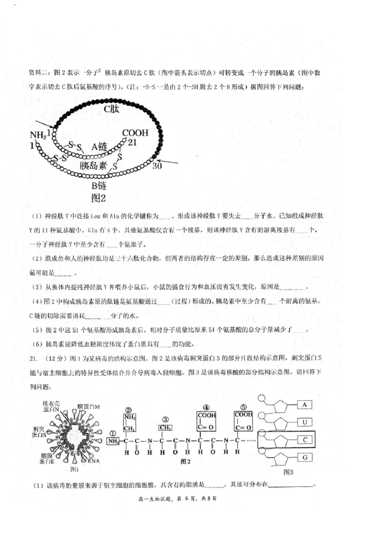 江苏省泰州中学2025-2026学年高一上学期10月月考生物试题含答案_2025年11月高一试卷_251104江苏省泰州中学2025-2026学年高一上学期第一次质量检测