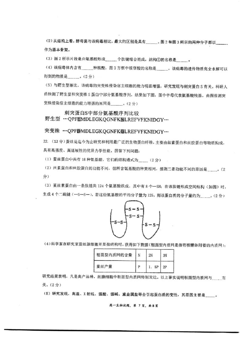 江苏省泰州中学2025-2026学年高一上学期10月月考生物试题含答案_2025年11月高一试卷_251104江苏省泰州中学2025-2026学年高一上学期第一次质量检测