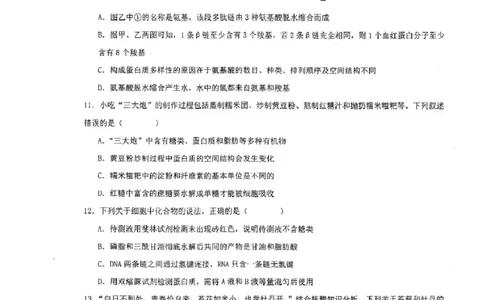 江苏省泰州中学2025-2026学年高一上学期10月月考生物试题含答案_2025年11月高一试卷_251104江苏省泰州中学2025-2026学年高一上学期第一次质量检测
