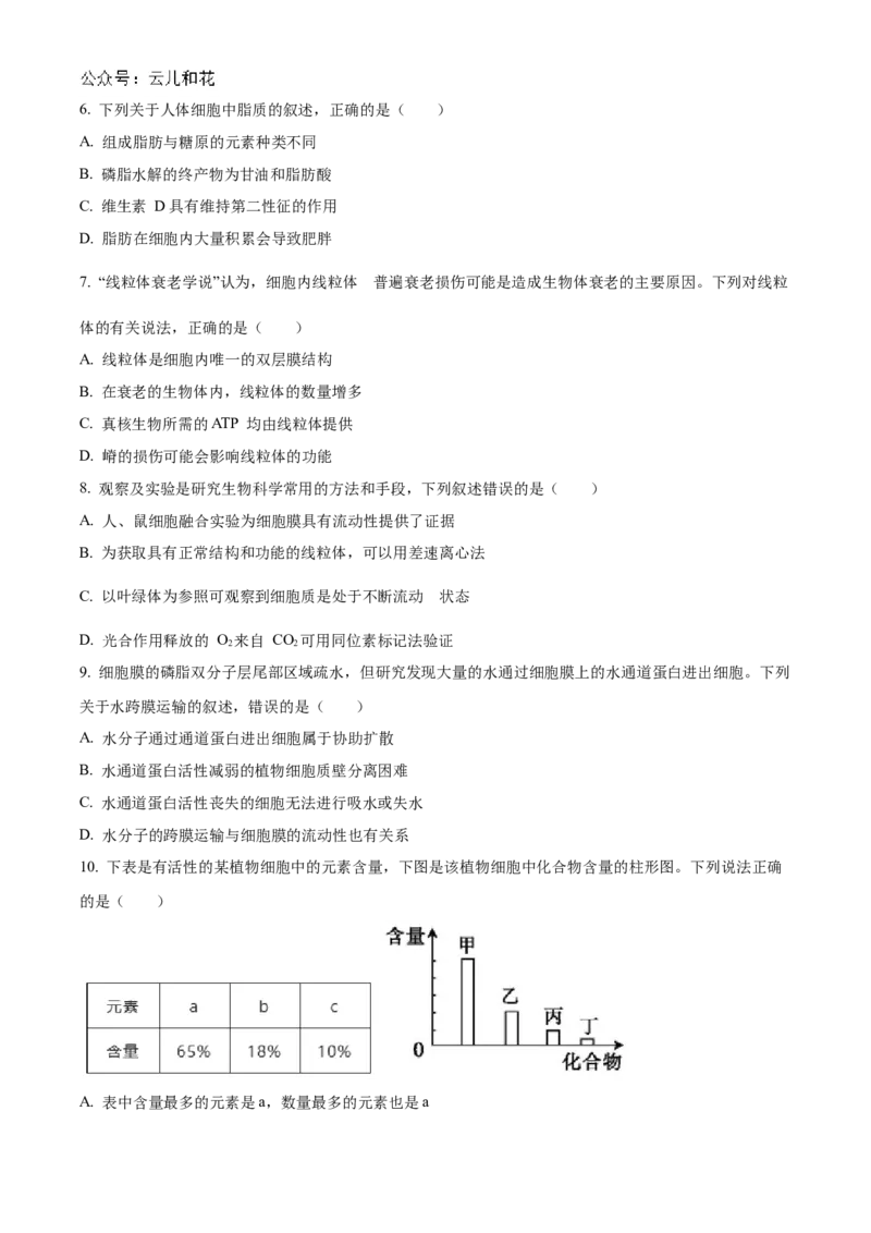 河北省衡水市冀州区河北冀州中学2024-2025学年高一上学期10月期中生物试题Word版无答案_2024年11月试卷_1114河北省衡水市冀州中学2024-2025学年高一上学期10月期中考试