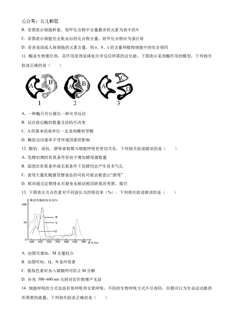 河北省衡水市冀州区河北冀州中学2024-2025学年高一上学期10月期中生物试题Word版无答案_2024年11月试卷_1114河北省衡水市冀州中学2024-2025学年高一上学期10月期中考试