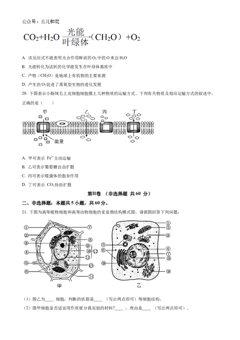 河北省衡水市冀州区河北冀州中学2024-2025学年高一上学期10月期中生物试题Word版无答案_2024年11月试卷_1114河北省衡水市冀州中学2024-2025学年高一上学期10月期中考试