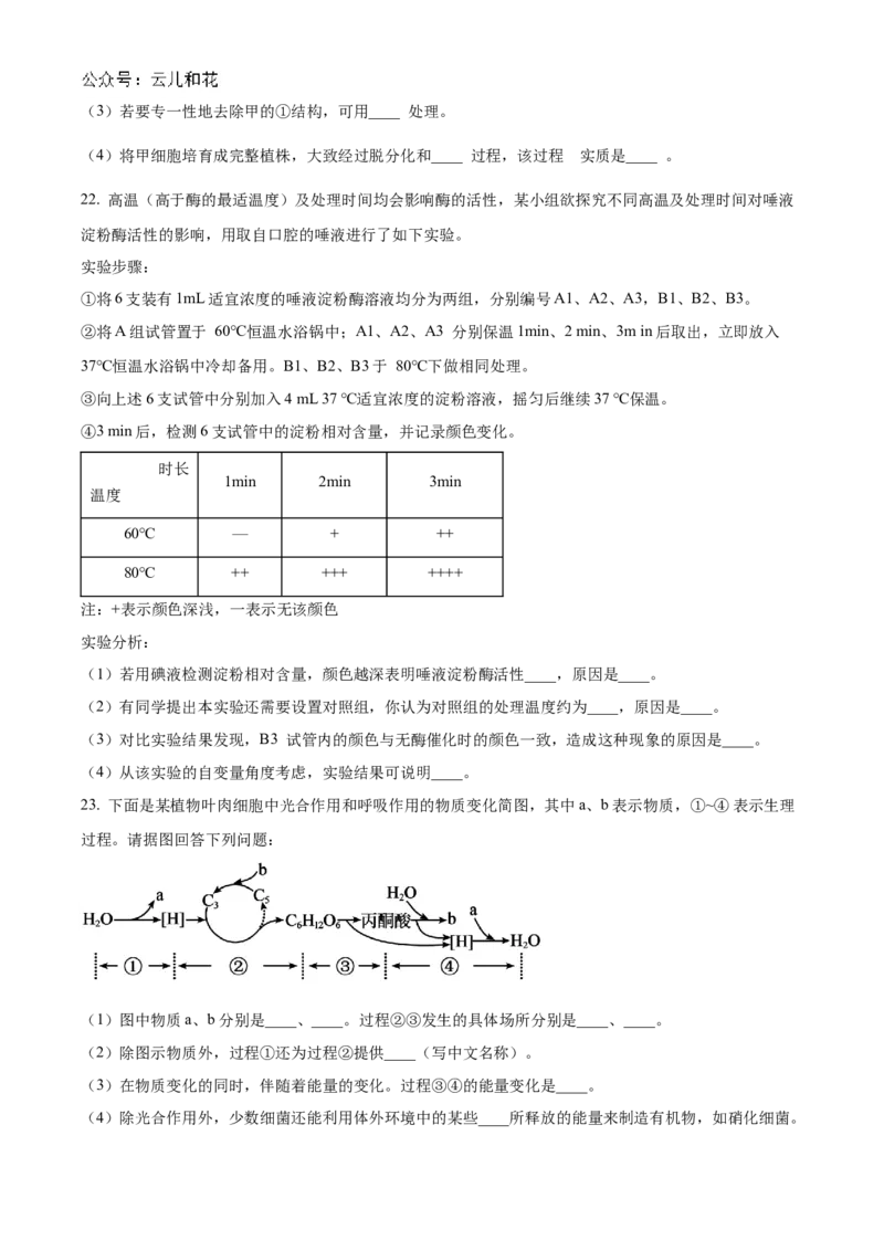河北省衡水市冀州区河北冀州中学2024-2025学年高一上学期10月期中生物试题Word版无答案_2024年11月试卷_1114河北省衡水市冀州中学2024-2025学年高一上学期10月期中考试