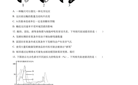 河北省衡水市冀州区河北冀州中学2024-2025学年高一上学期10月期中生物试题Word版无答案_2024年11月试卷_1114河北省衡水市冀州中学2024-2025学年高一上学期10月期中考试