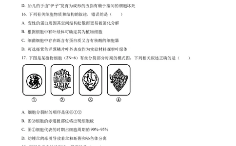 河北省衡水市冀州区河北冀州中学2024-2025学年高一上学期10月期中生物试题Word版无答案_2024年11月试卷_1114河北省衡水市冀州中学2024-2025学年高一上学期10月期中考试