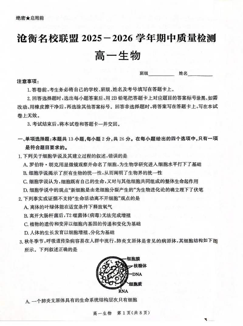 河北省沧衡名校联盟2025-2026学年高一上学期期中考试生物PDF版含解析_2025年12月高一试卷_251218河北省沧衡名校联盟2025-2026学年高一上学期期中考试（全）