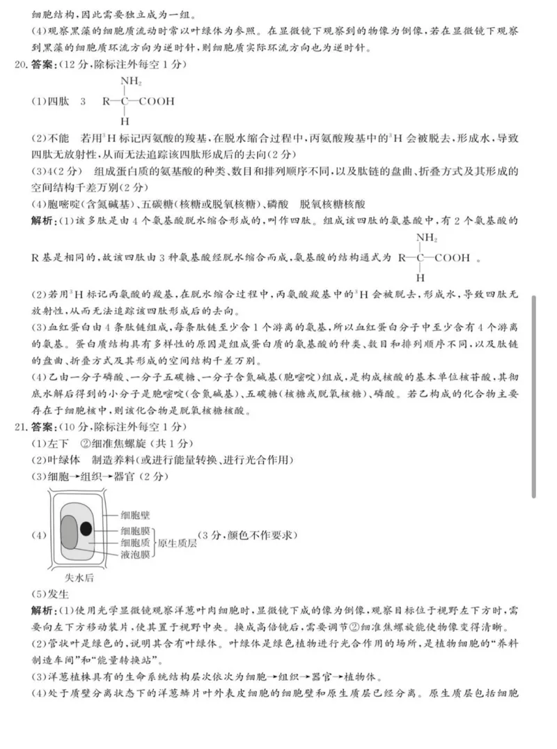 河北省沧衡名校联盟2025-2026学年高一上学期期中考试生物PDF版含解析_2025年12月高一试卷_251218河北省沧衡名校联盟2025-2026学年高一上学期期中考试（全）