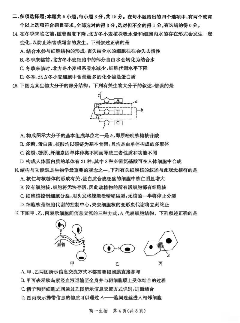 河北省沧衡名校联盟2025-2026学年高一上学期期中考试生物PDF版含解析_2025年12月高一试卷_251218河北省沧衡名校联盟2025-2026学年高一上学期期中考试（全）