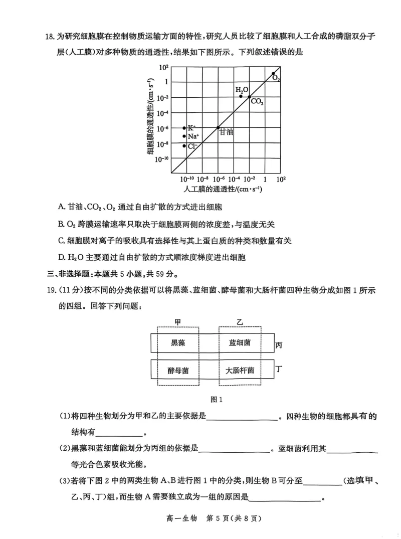 河北省沧衡名校联盟2025-2026学年高一上学期期中考试生物PDF版含解析_2025年12月高一试卷_251218河北省沧衡名校联盟2025-2026学年高一上学期期中考试（全）