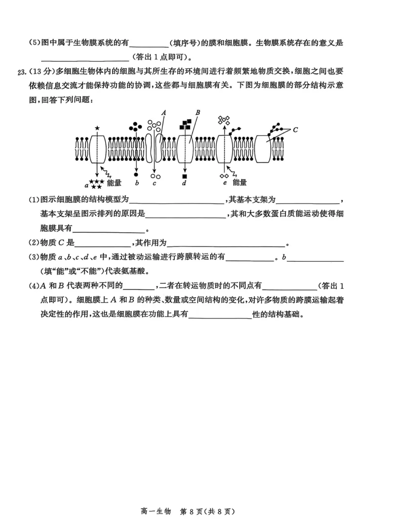 河北省沧衡名校联盟2025-2026学年高一上学期期中考试生物PDF版含解析_2025年12月高一试卷_251218河北省沧衡名校联盟2025-2026学年高一上学期期中考试（全）